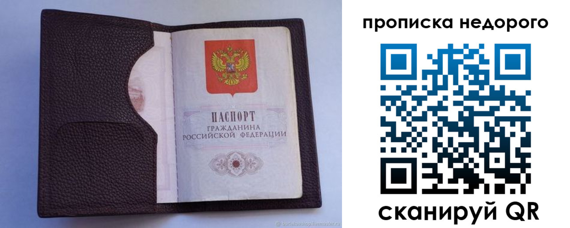 прописка законно в Кингисеппе